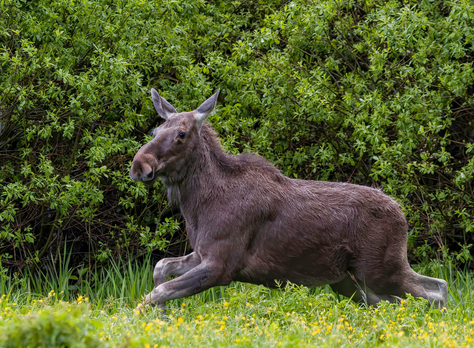 ÐÐ»Ð»ÑÑÑÑÐ°ÑÐ¸Ð²Ð½Ð¾Ðµ Ð¸Ð·Ð¾Ð±ÑÐ°Ð¶ÐµÐ½Ð¸Ðµ. Ð¤Ð¾ÑÐ¾ - ÐÐ¸ÑÐ°Ð¸Ð» ÐÐ·Ð´Ð°ÐºÐ¾Ð²