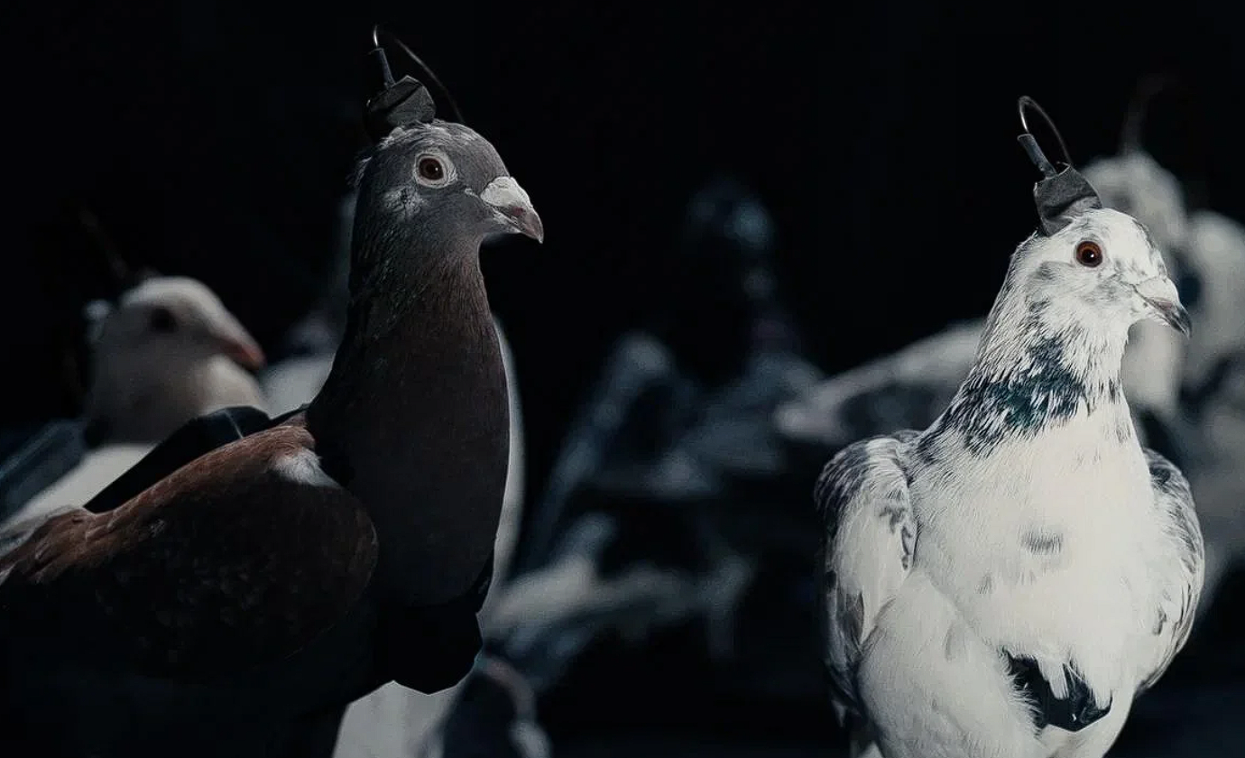 Ð¤Ð¾ÑÐ¾ - Ð¿ÑÐµÑÑ-ÑÐ»ÑÐ¶Ð±Ð° Neiry