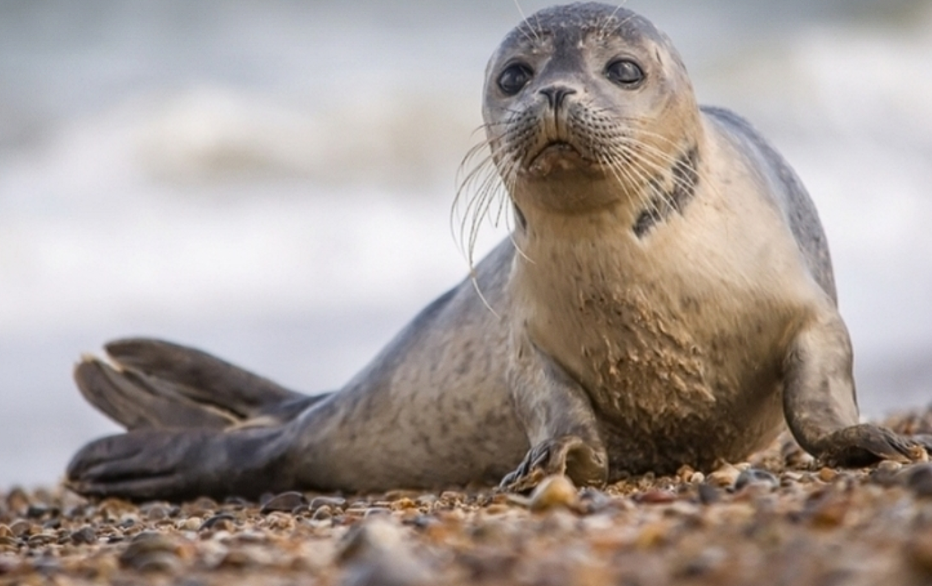 ÐÐ»Ð»ÑÑÑÑÐ°ÑÐ¸Ð²Ð½Ð¾Ðµ Ð¸Ð·Ð¾Ð±ÑÐ°Ð¶ÐµÐ½Ð¸Ðµ