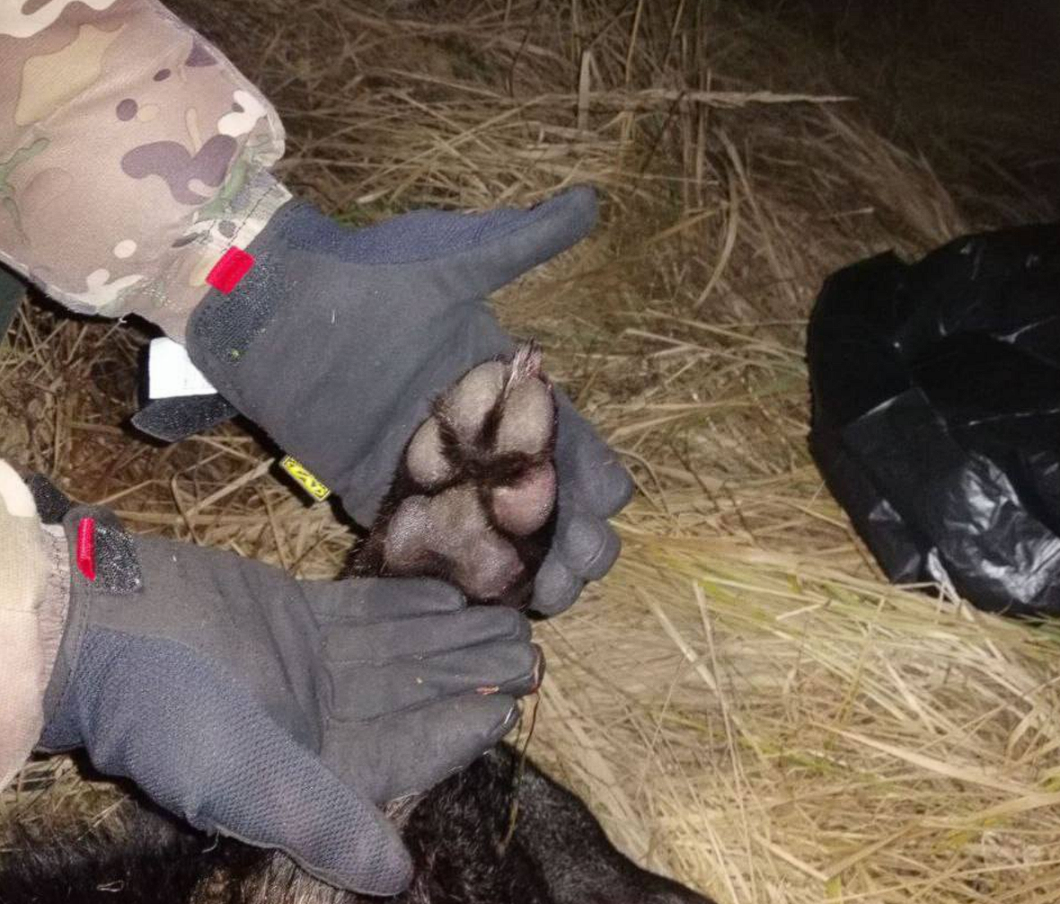 Ð¤Ð¾ÑÐ¾ - ÐÐÐÐ 