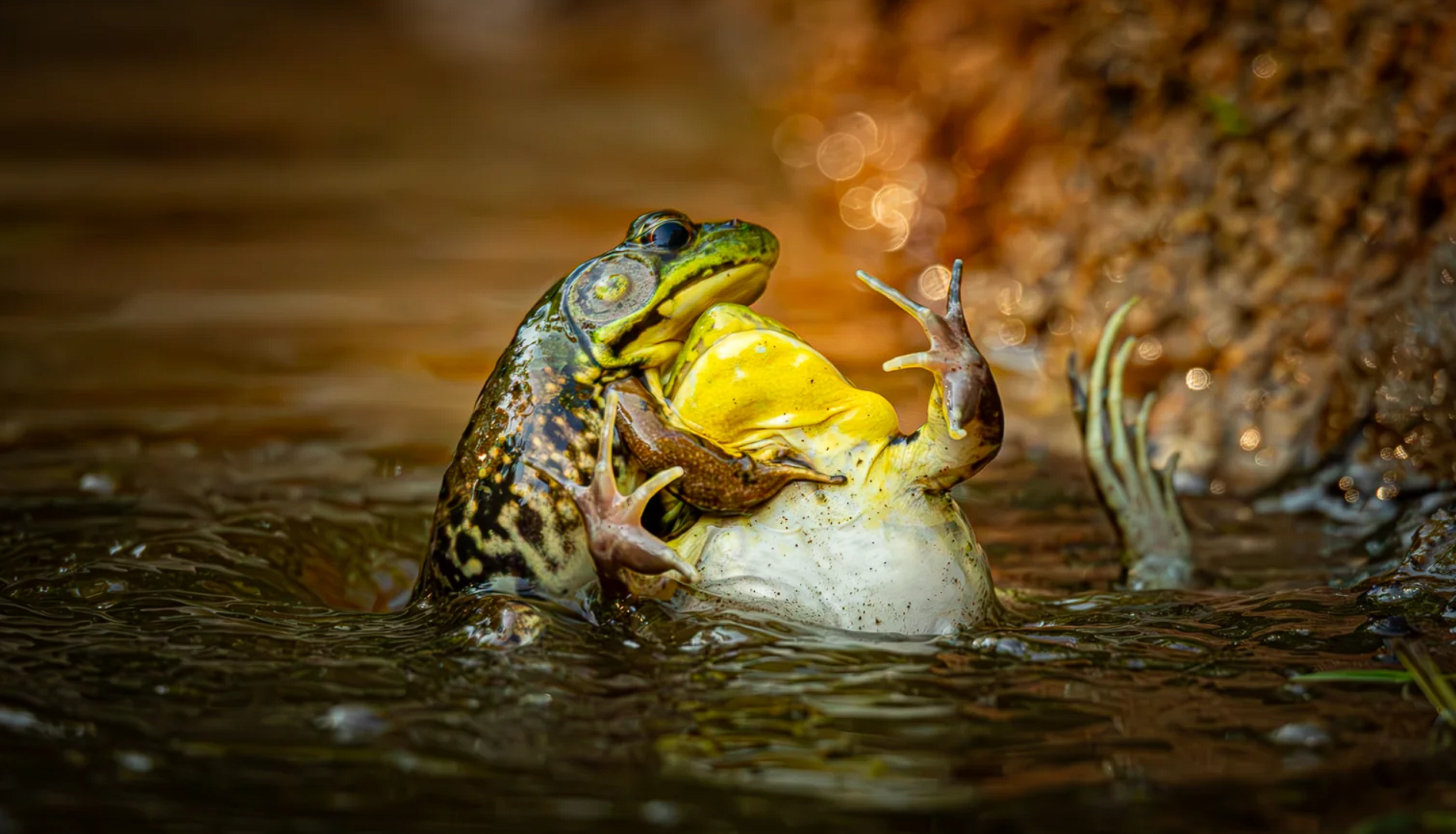 ÐÐ°Ð¼ÑÐ½Ð°ÑÑÑ Â«ÐÐ¼ÑÑÐ±ÑÑ, ÑÑÐ¿ÑÑÐ»ÑÑ Ñ Ð½Ð°ÑÑÐºÐ¾Ð¼ÑÑÂ»