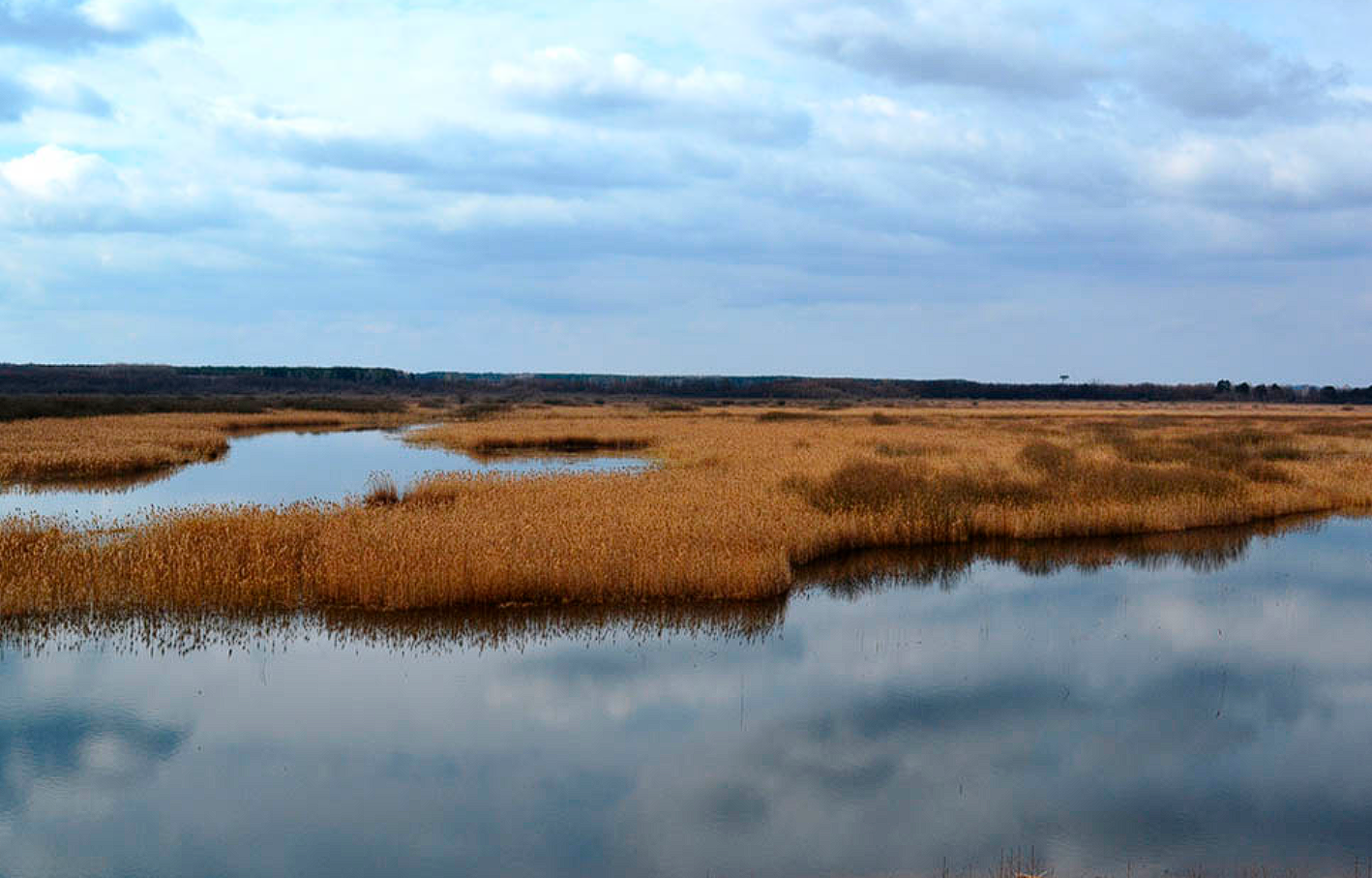 ÐÐ»ÑÑÑÑÐ°ÑÑÑÐ½Ð°Ðµ ÑÐ¾ÑÐ°