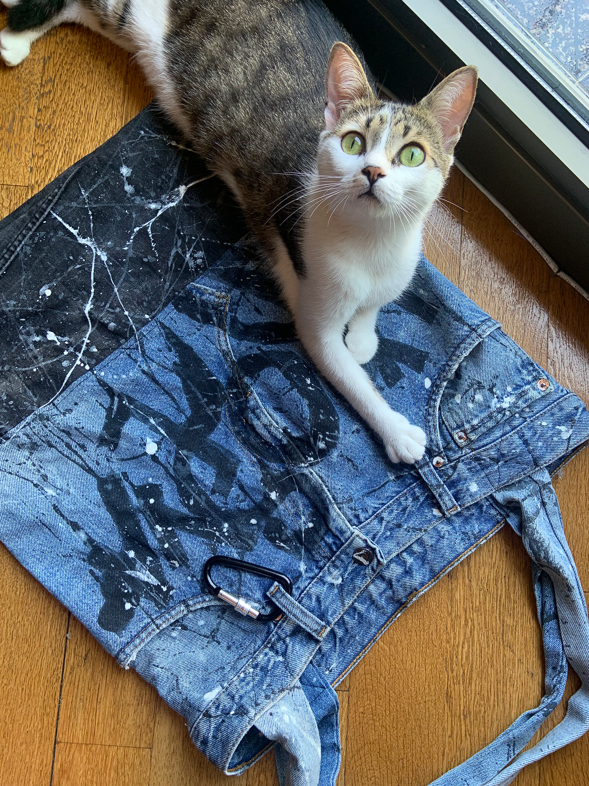 Ð¤Ð¾ÑÐ¾ Ð¸Ð· Ð°ÑÑÐ¸Ð²Ð° Ð³ÐµÑÐ¾Ð¸Ð½Ð¸