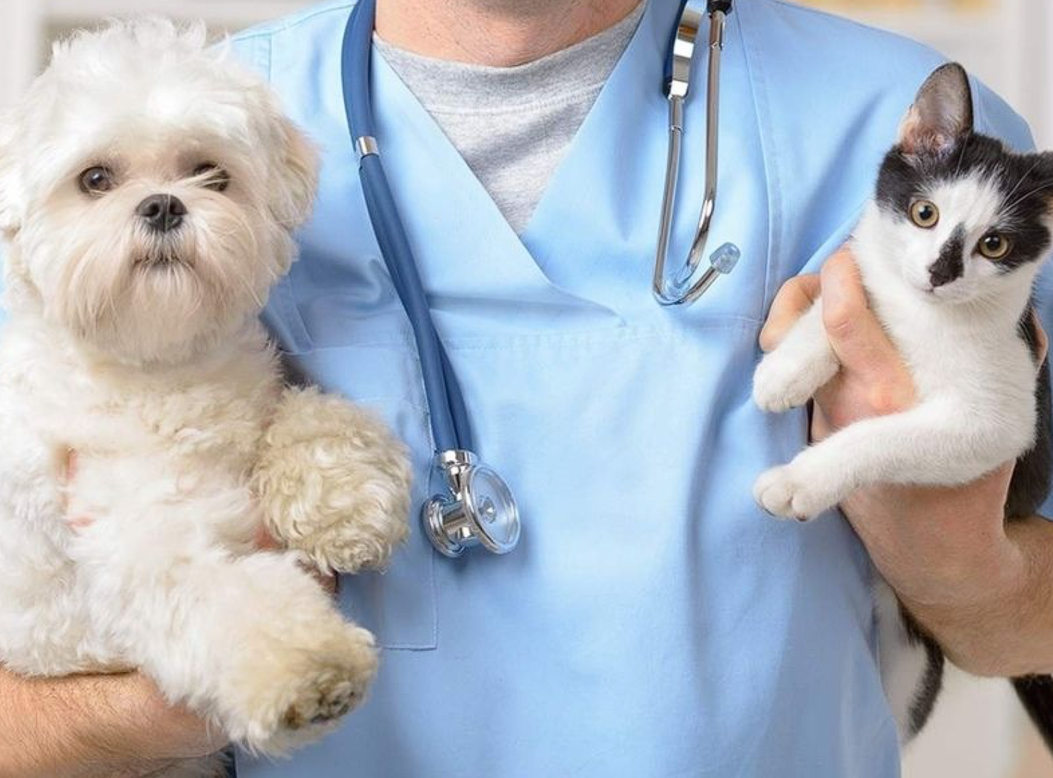 ÐÐ»Ð»ÑÑÑÑÐ°ÑÐ¸Ð²Ð½Ð¾Ðµ Ð¸Ð·Ð¾Ð±ÑÐ°Ð¶ÐµÐ½Ð¸Ðµ