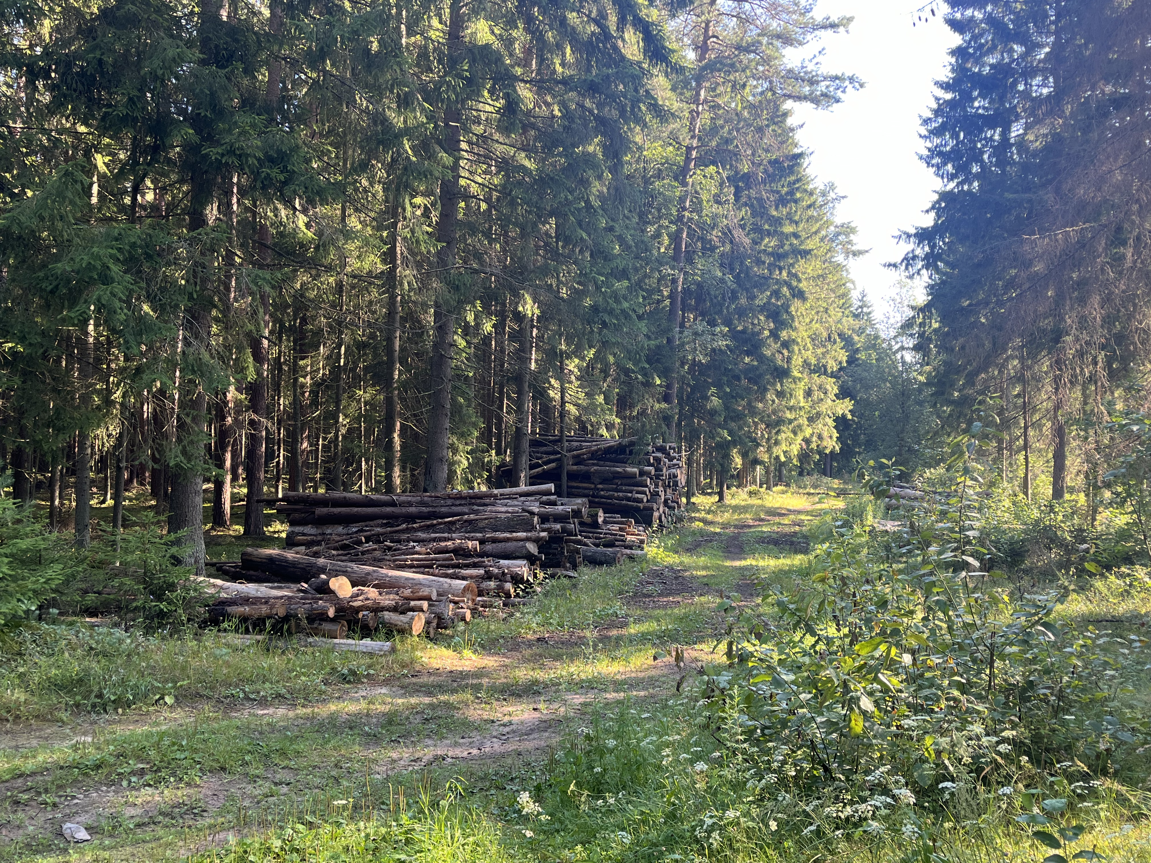 Ð¤Ð¾ÑÐ¾ - Ð°Ð²ÑÐ¾ÑÐ°