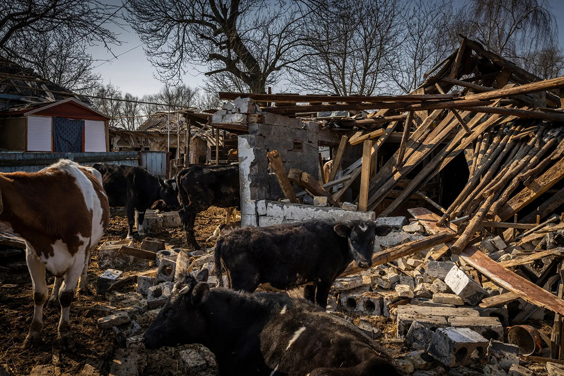 Ð¤Ð¾ÑÐ¾: The New York Times