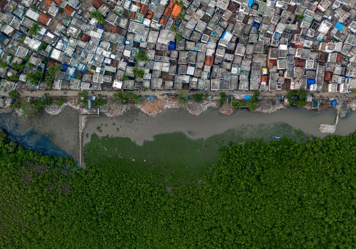 ÐÐ»Ð°Ð³Ð¾Ð´Ð°ÑÐ½Ð¾Ðµ Ð²Ð¾Ð´Ð½Ð¾-Ð±Ð¾Ð»Ð¾ÑÐ½Ð¾Ðµ ÑÐ³Ð¾Ð´ÑÐµ, Ð Ð°ÐºÐµÑ ÐÑÐ»Ð°Ð¿Ð°, ÐÐ½Ð´Ð¸Ñ/Wildlife Photographer of the Year/PA