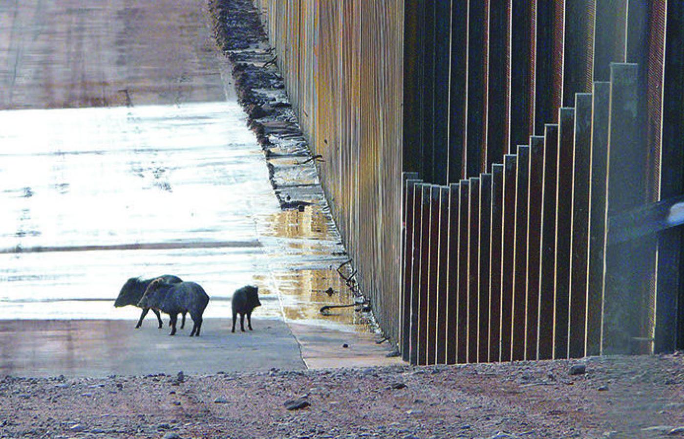 Ð¤Ð¾ÑÐ° - news.oregonstate.edu
