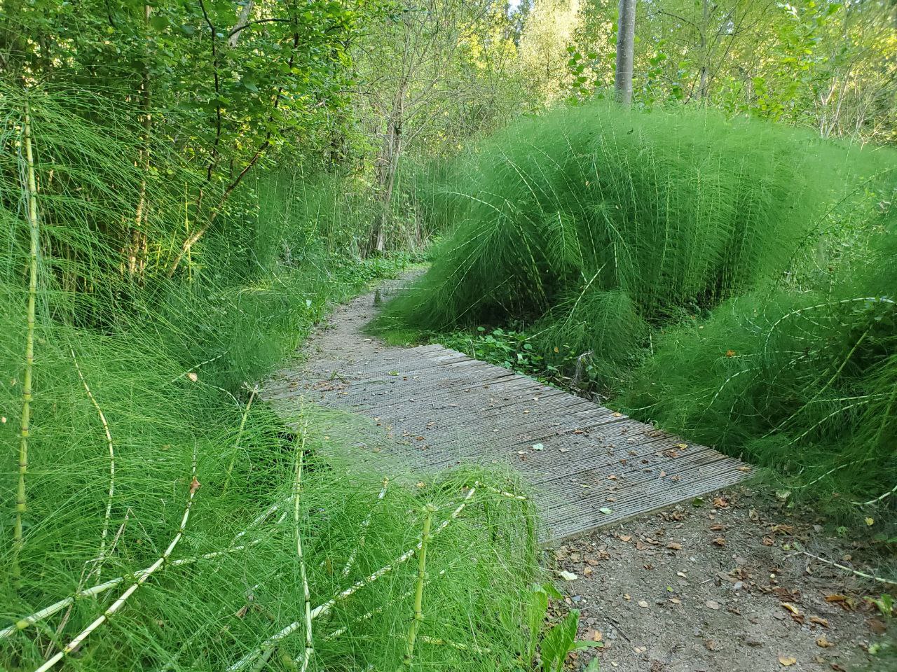 Ð¤Ð¾ÑÐ¾ Ð°Ð²ÑÐ¾ÑÐ° 