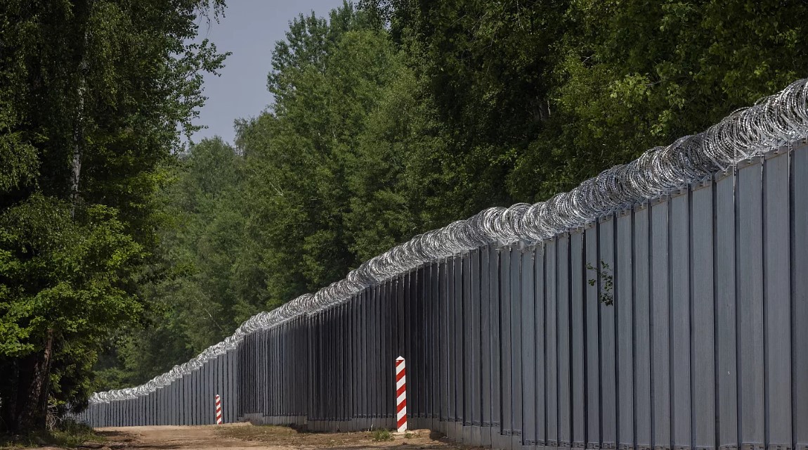 Ð¤Ð¾ÑÐ° - WOJTEK RADWANSKI/AFP