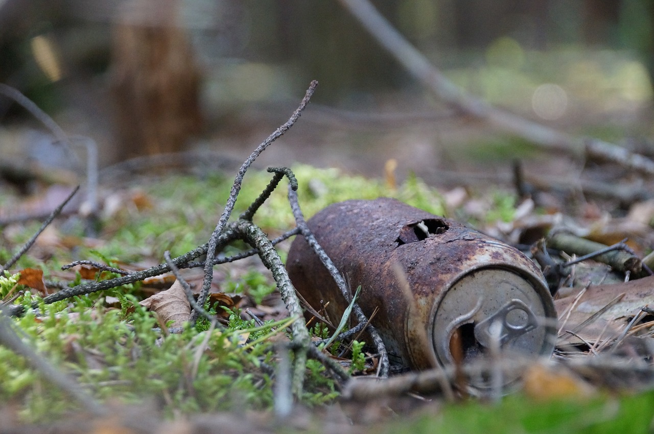Ð¤Ð¾ÑÐ¾: Pixabay.com