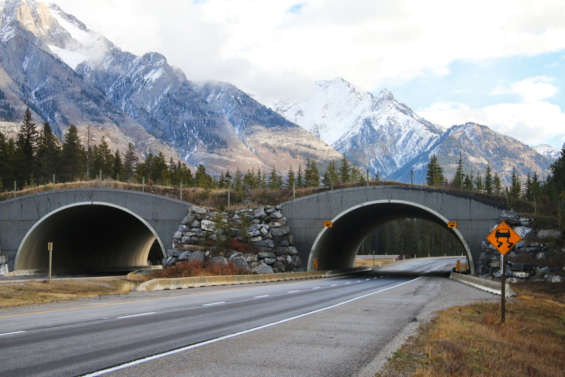 ÐÐ¾ÑÑ Ð´Ð»Ñ Ð´Ð¸ÐºÐ¸Ñ Ð¶Ð¸Ð²Ð¾ÑÐ½ÑÑ Ð² Ð­Ð´Ð¼Ð¾Ð½ÑÐ¾Ð½Ðµ, ÐÐ°Ð½Ð°Ð´Ð°.Â Ð¤Ð¾ÑÐ¾: canadiangeographic.ca