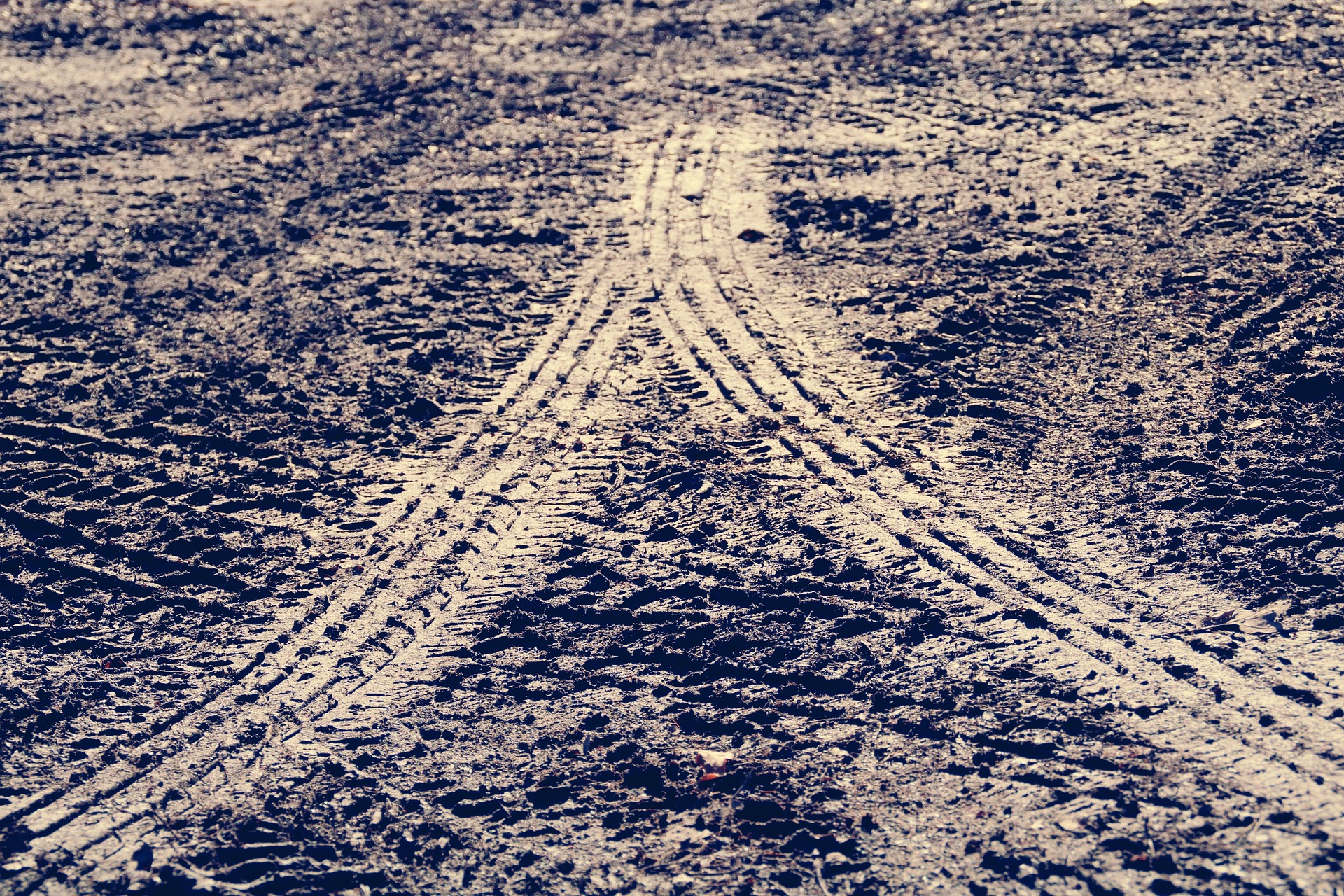Ð¤Ð¾ÑÐ¾: pixabay.com