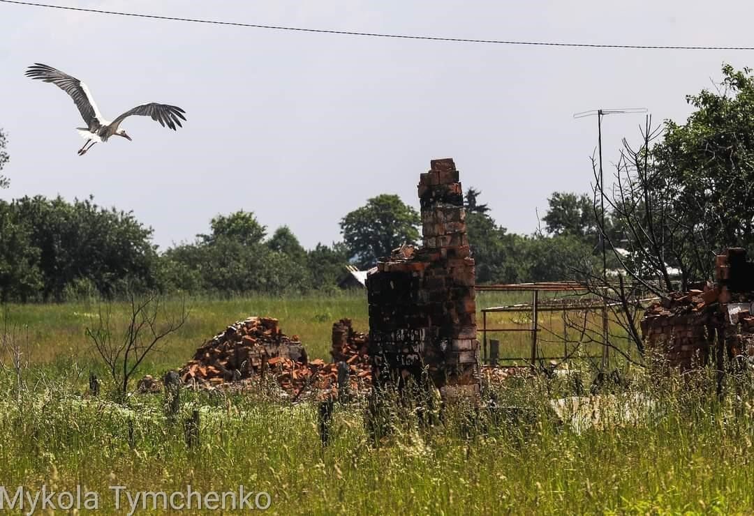 ÐÐ¾Ð¹Ð½Ð° Ð±ÑÐ´ÐµÑ Ð½Ð°Ð¿Ð¾Ð¼Ð¸Ð½Ð°ÑÑ Ð¾ ÑÐµÐ±Ðµ ÐµÑÐµ Ð´Ð¾Ð»Ð³Ð¸Ðµ Ð³Ð¾Ð´Ñ