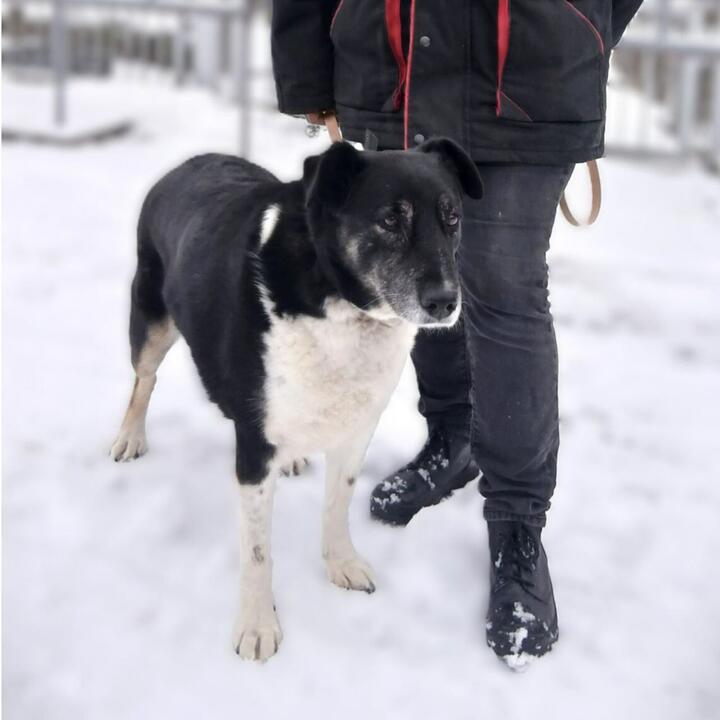 ÐÑÑÐ°Ð½Ð½Ð¸ÑÐ° ÐÑÐ¾Ð´Ð½ÐµÐ½ÑÐºÐ¾Ð³Ð¾ Ð·Ð¾Ð¾Ð¿Ð°ÑÐºÐ° ÐÐ¼Ð¸ÑÐ°. Ð¤Ð¾ÑÐ¾: t.me/grodnozoo