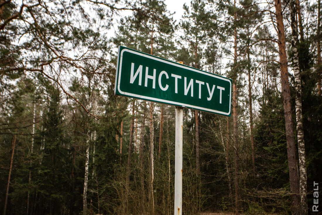 ÐÐ»Ð»ÑÑÑÑÐ°ÑÐ¸Ð²Ð½Ð¾Ðµ Ð¸Ð·Ð¾Ð±ÑÐ°Ð¶ÐµÐ½Ð¸Ðµ
