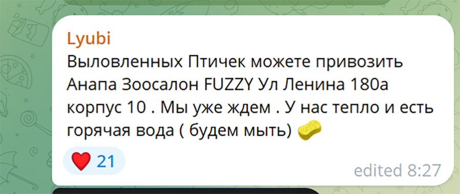 Ð¡ÐºÑÐ¸Ð½ÑÐ¾Ñ Ð¸Ð· Ð²Ð¾Ð»Ð¾Ð½ÑÐµÑÑÐºÐ¾Ð³Ð¾ ÑÐ°ÑÐ°