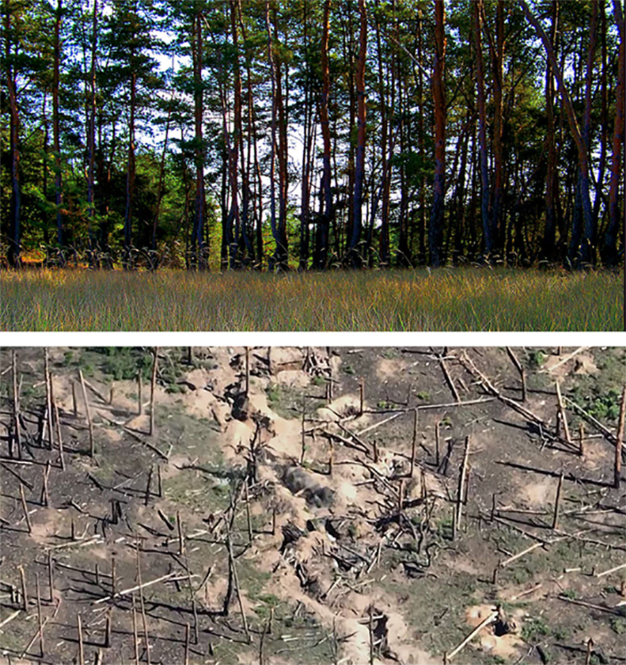 Ð¡ÐµÑÐµÐ±ÑÑÐ½ÑÐºÐ¸Ð¹ Ð·Ð°ÐºÐ°Ð·Ð½Ð¸Ðº Ð² Ð¾ÐºÑÑÐ±ÑÐµ 2011 Ð³Ð¾Ð´Ð° Ð¸ Ð² Ð°Ð²Ð³ÑÑÑÐµ 2023 Ð³Ð¾Ð´Ð° Ð¤Ð¾ÑÐ¾ - before-war-after.com