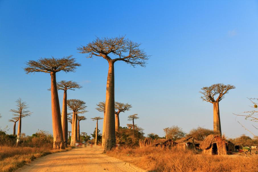 Ð¤Ð¾ÑÐ¾: iStock.com