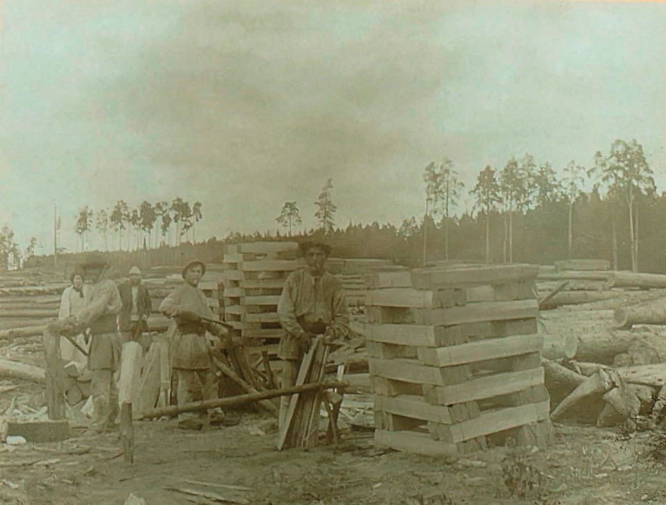 ÐÑÑÑÐ±ÐºÐ° Ð±ÐµÐ»Ð°ÑÑÑÑÐºÐ¾Ð³Ð¾ Ð»ÐµÑÐ° Ð² 1912 Ð³Ð¾Ð´Ñ. Ð¤Ð¾ÑÐ¾ ÐÑÐ°Ð°ÐºÐ° Ð¡ÐµÑÐ±Ð¾Ð²Ð°