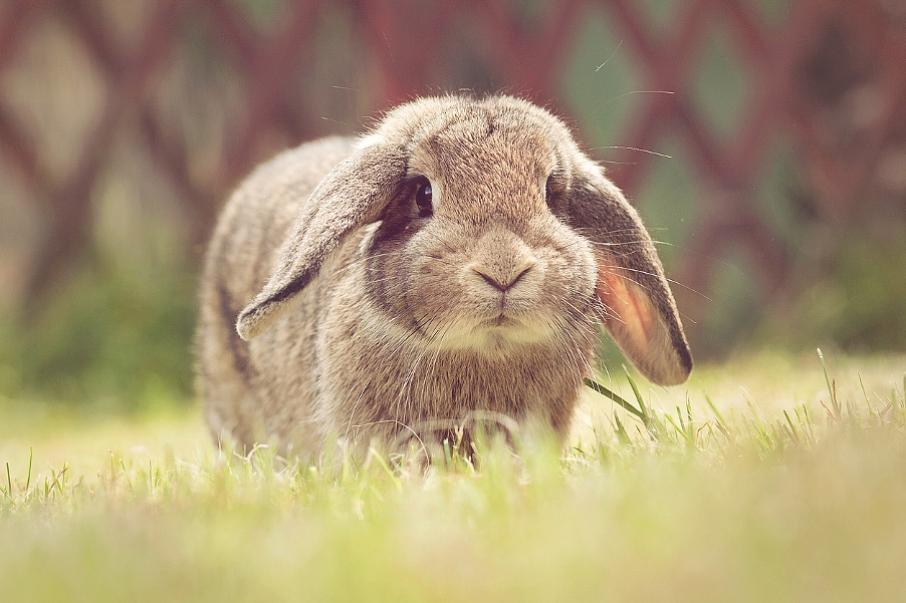 Ð¤Ð¾ÑÐ¾: iStock.com
