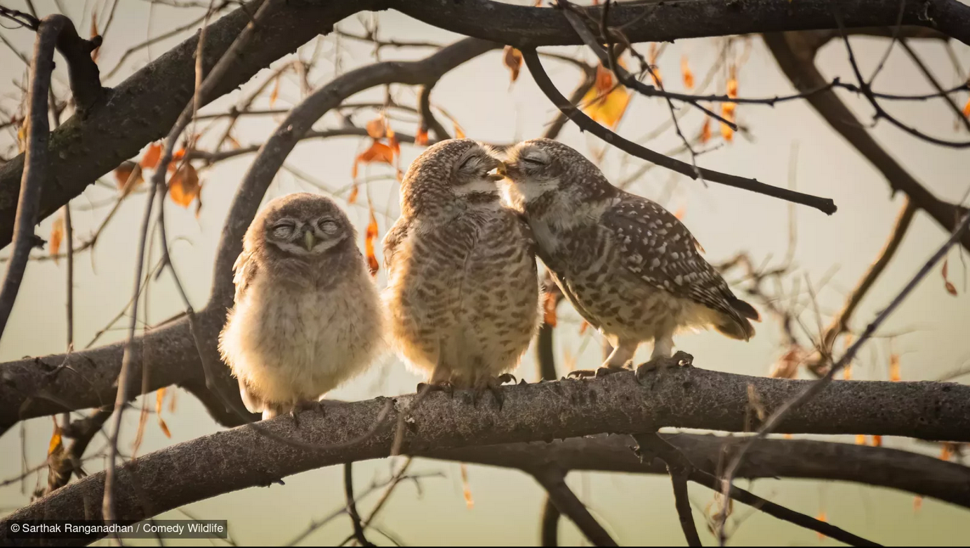 ÐÐ¾Ð±ÐµÐ´Ð¸ÑÐµÐ»Ñ Ð² Ð½Ð¾Ð¼Ð¸Ð½Ð°ÑÐ¸Ð¸ Nikon Junior Category Award Ð´Ð»Ñ ÑÐ¾ÑÐ¾Ð³ÑÐ°ÑÐ¾Ð² Ð¼Ð»Ð°Ð´ÑÐµ 16 Ð»ÐµÑ