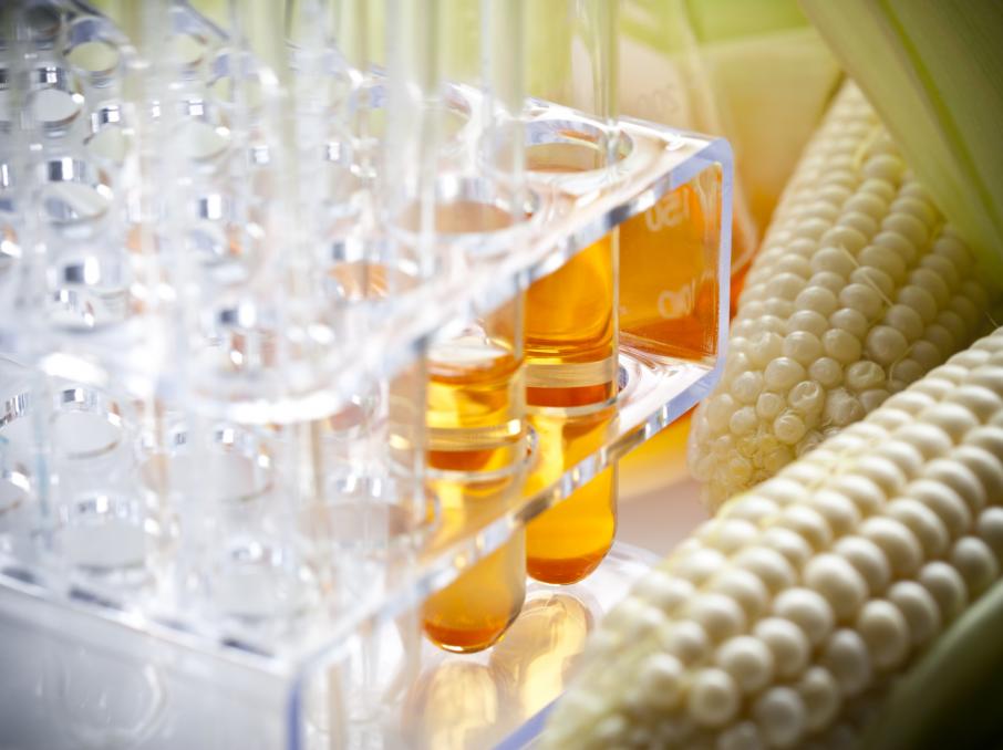 Ð¤Ð¾ÑÐ¾: iStock.com