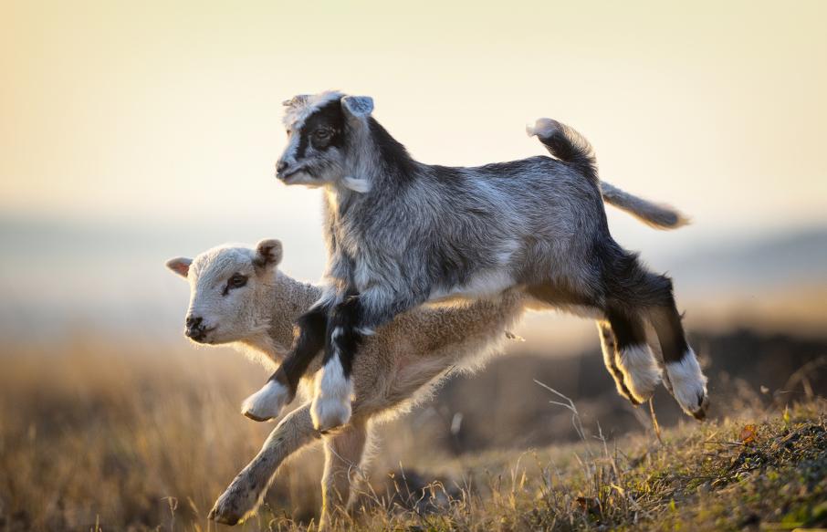 Ð¤Ð¾ÑÐ¾: iStock.com