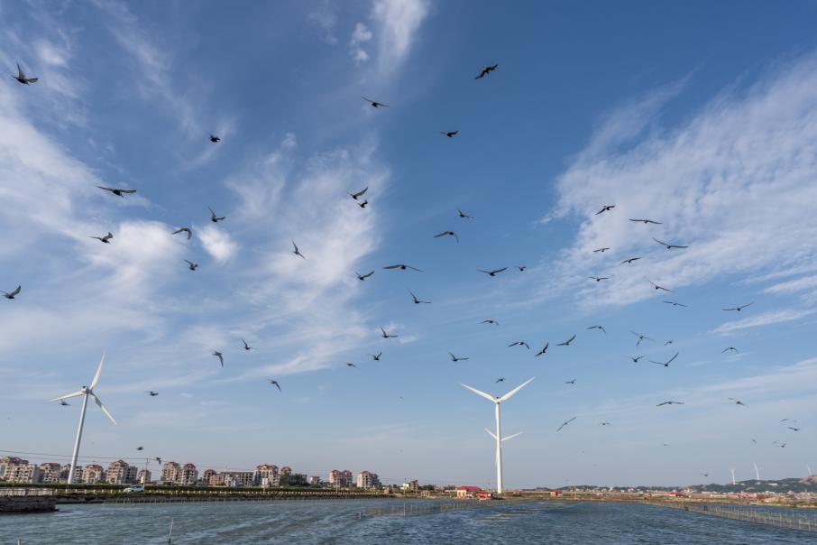 Ð¤Ð¾ÑÐ¾: iStock.com