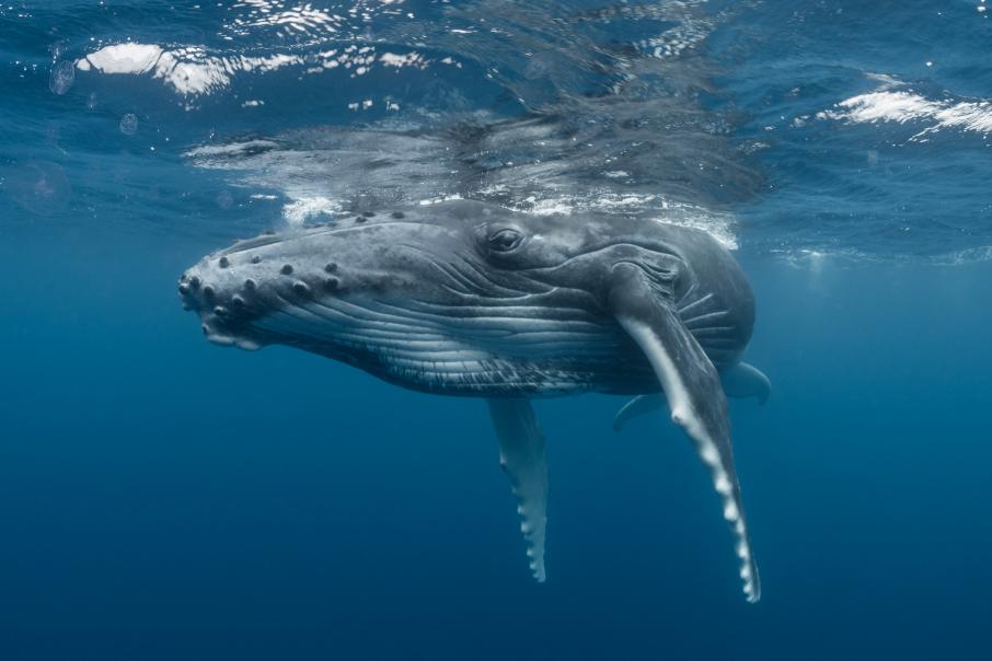 Ð¤Ð¾ÑÐ¾: iStock.com
