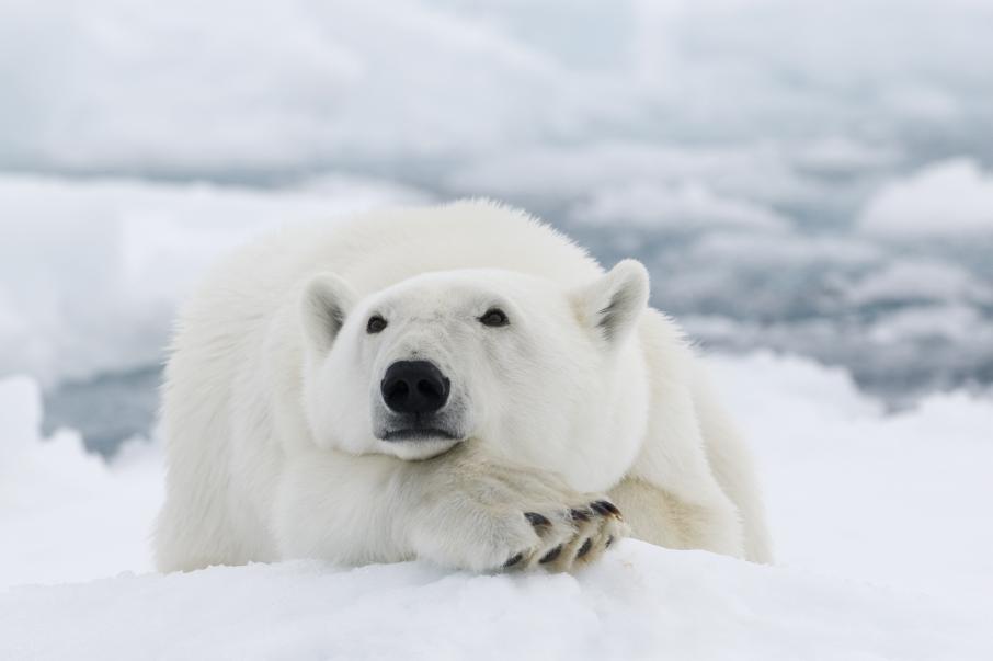 Ð¤Ð¾ÑÐ¾: iStock.com