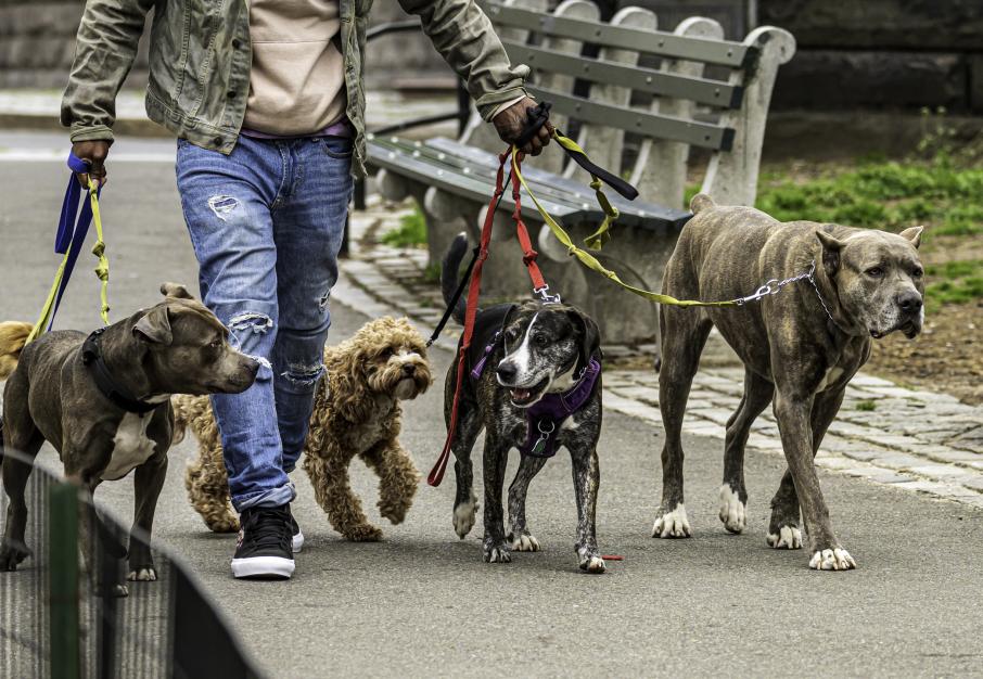 Ð¤Ð¾ÑÐ¾: iStock.com