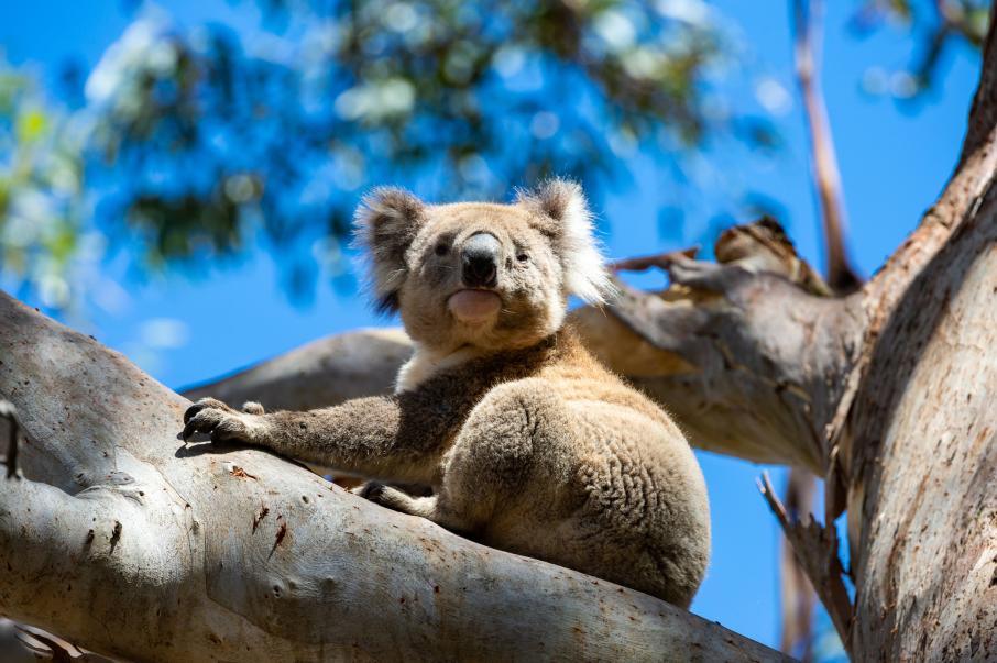 Ð¤Ð¾ÑÐ¾: iStock.com