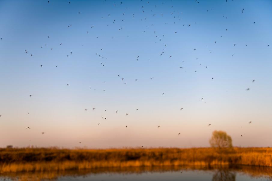 Ð¤Ð¾ÑÐ¾: iStock.com