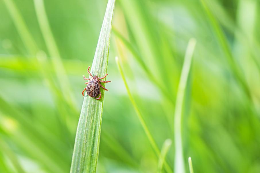 Ð¤Ð¾ÑÐ¾: iStock.com