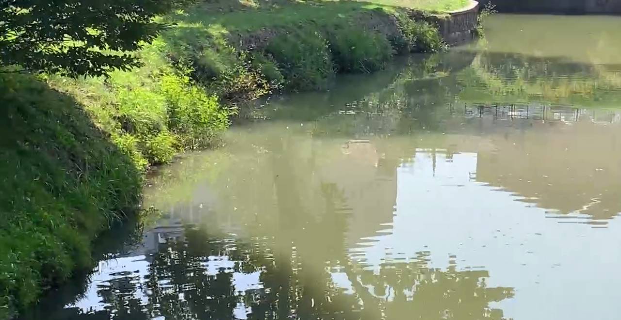 ÐÑÑÐ½Ð°Ñ Ð²Ð¾Ð´Ð° ÐÐ¾ÑÐ¾Ð´Ð½Ð¸ÑÐ°Ð½ÐºÐ¸