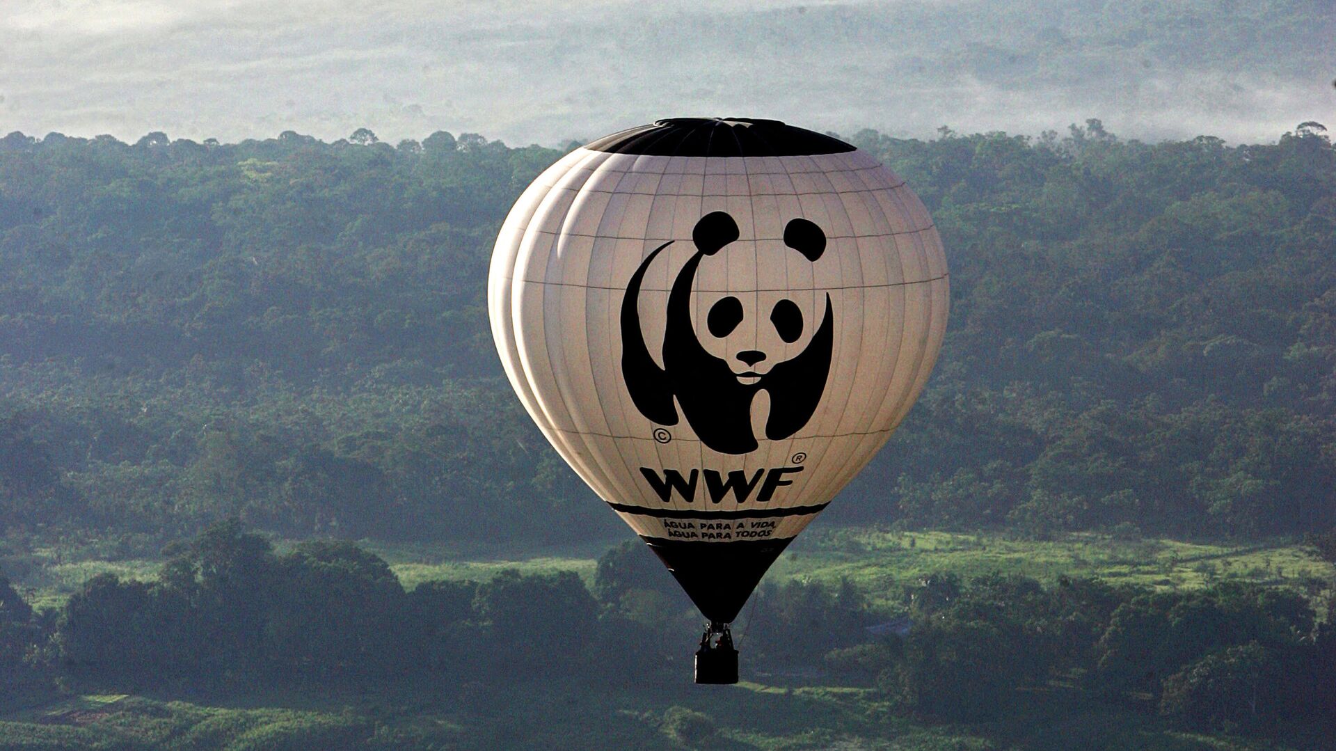 ÐÐ¾Ð³Ð¾ÑÐ¸Ð¿ WWF - Ð¾Ð´Ð¸Ð½ Ð¸Ð· ÑÐ°Ð¼ÑÑ ÑÐ·Ð½Ð°Ð²Ð°ÐµÐ¼ÑÑ Ð²Ð¾Ð»Ð¾Ð½ÑÐµÑÑÐºÐ¸Ñ Ð»Ð¾Ð³Ð¾ÑÐ¸Ð¿Ð¾Ð² Ð² Ð¼Ð¸ÑÐµ