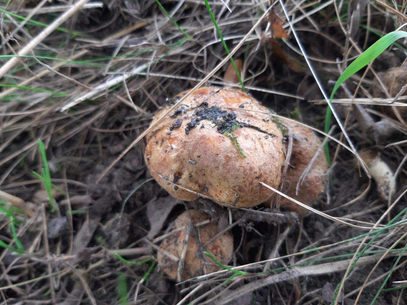 ÐÐ»Ð»ÑÑÑÑÐ°ÑÐ¸Ð²Ð½Ð¾Ðµ Ð¸Ð·Ð¾Ð±ÑÐ°Ð¶ÐµÐ½Ð¸Ðµ