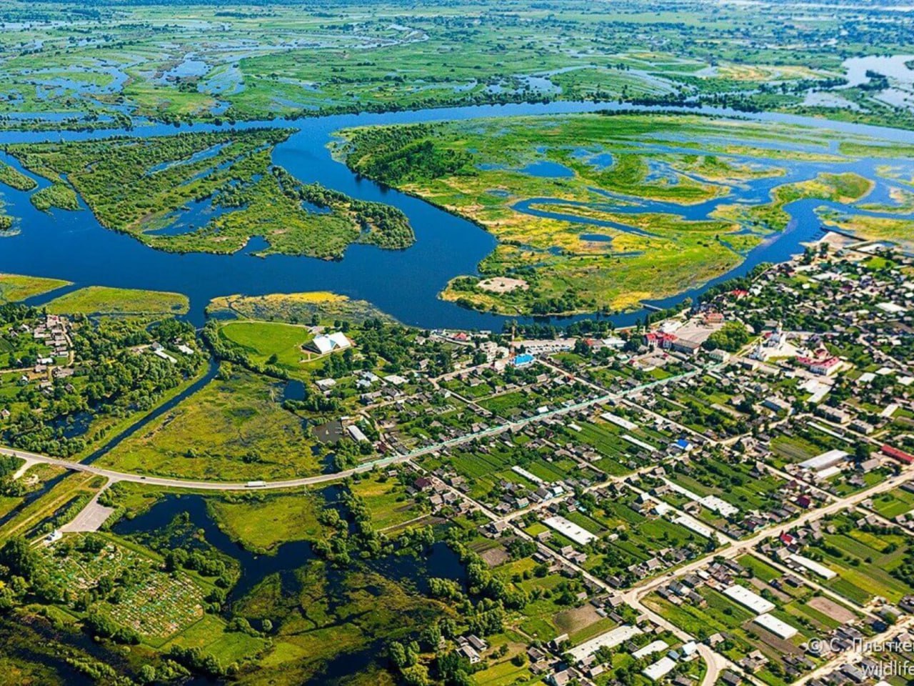 Ð¢ÑÑÐ¾Ð²ÑÐºÐ¾Ðµ Ð±Ð¾Ð»Ð¾Ð½ÑÐµ 