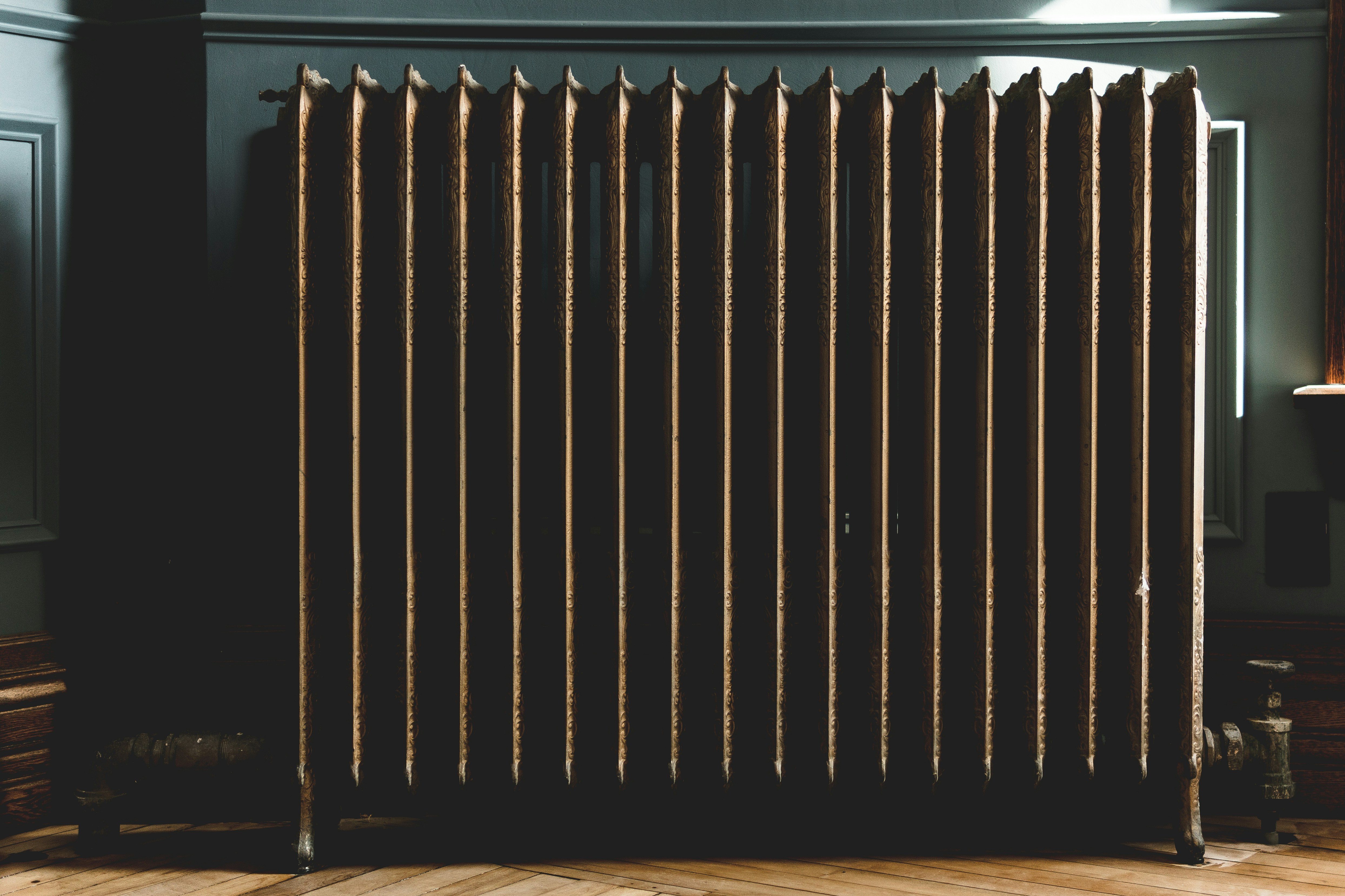Ð¤Ð¾ÑÐ° â Alex Perz, Unsplash