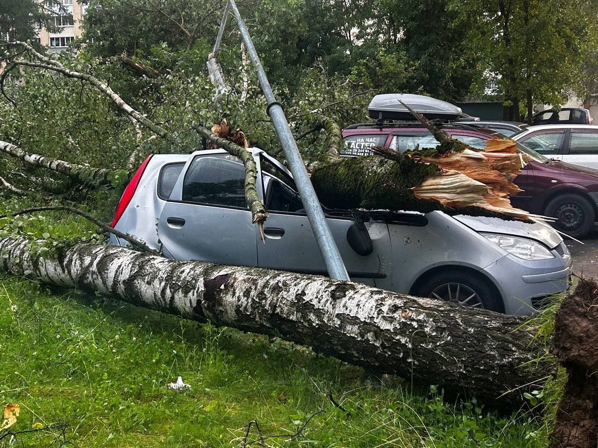 Ð¤Ð¾ÑÐ°: ÐÐ½Ð»Ð°Ð¹Ð½ÐµÑ