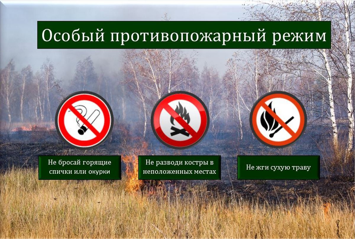 ÐÐ»Ð»ÑÑÑÑÐ°ÑÐ¸Ð²Ð½Ð¾Ðµ Ð¸Ð·Ð¾Ð±ÑÐ°Ð¶ÐµÐ½Ð¸Ðµ