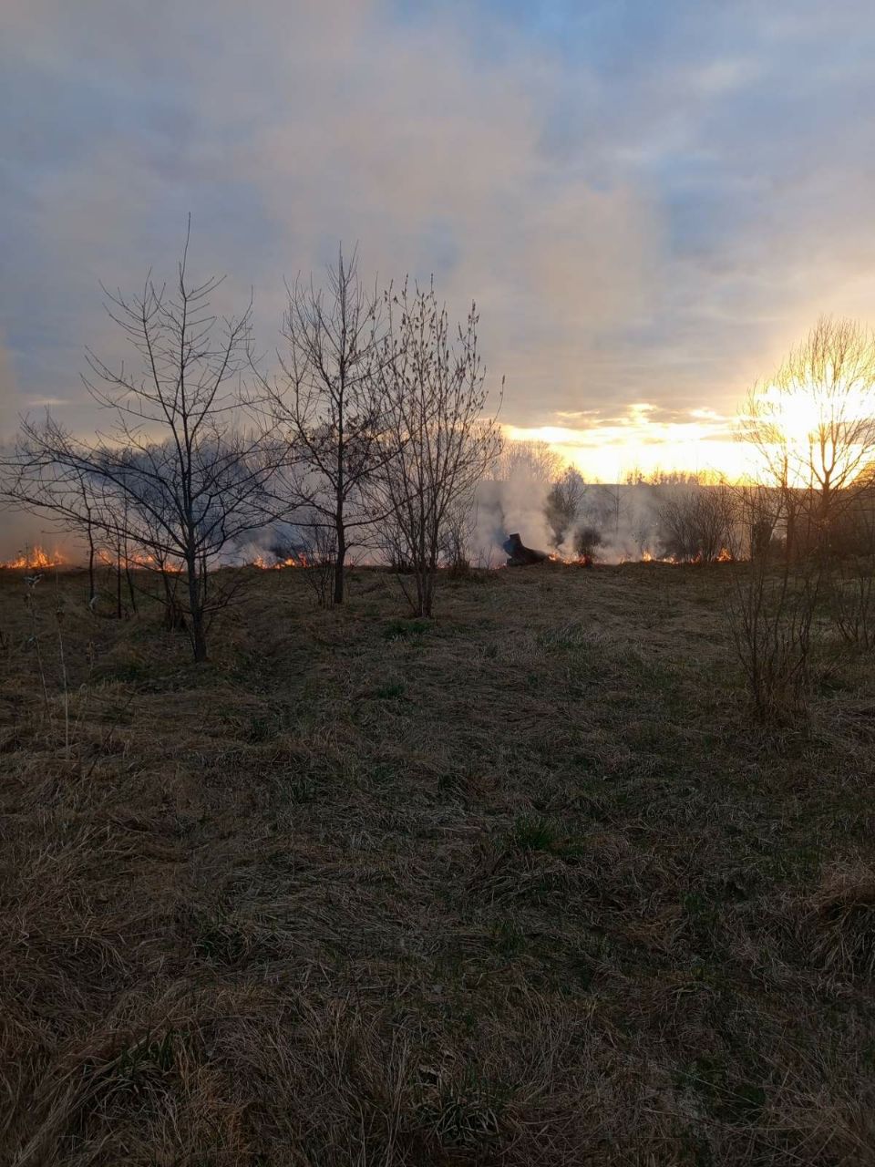 Ð¡ÐµÐ»ÑÑÐºÐ¾ÑÐ¾Ð·ÑÐ¹ÑÑÐ²ÐµÐ½Ð½ÑÐ¹ Ð¿Ð°Ð». ÐÐ°Ð»Ð¸Ð½ÐºÐ¾Ð²Ð¸ÑÑÐ¸ÐºÐ¹ Ð»ÐµÑÑÐ¾Ð·, Ð°Ð¿ÑÐµÐ»Ñ 2026 Ð³Ð¾Ð´Ð°.