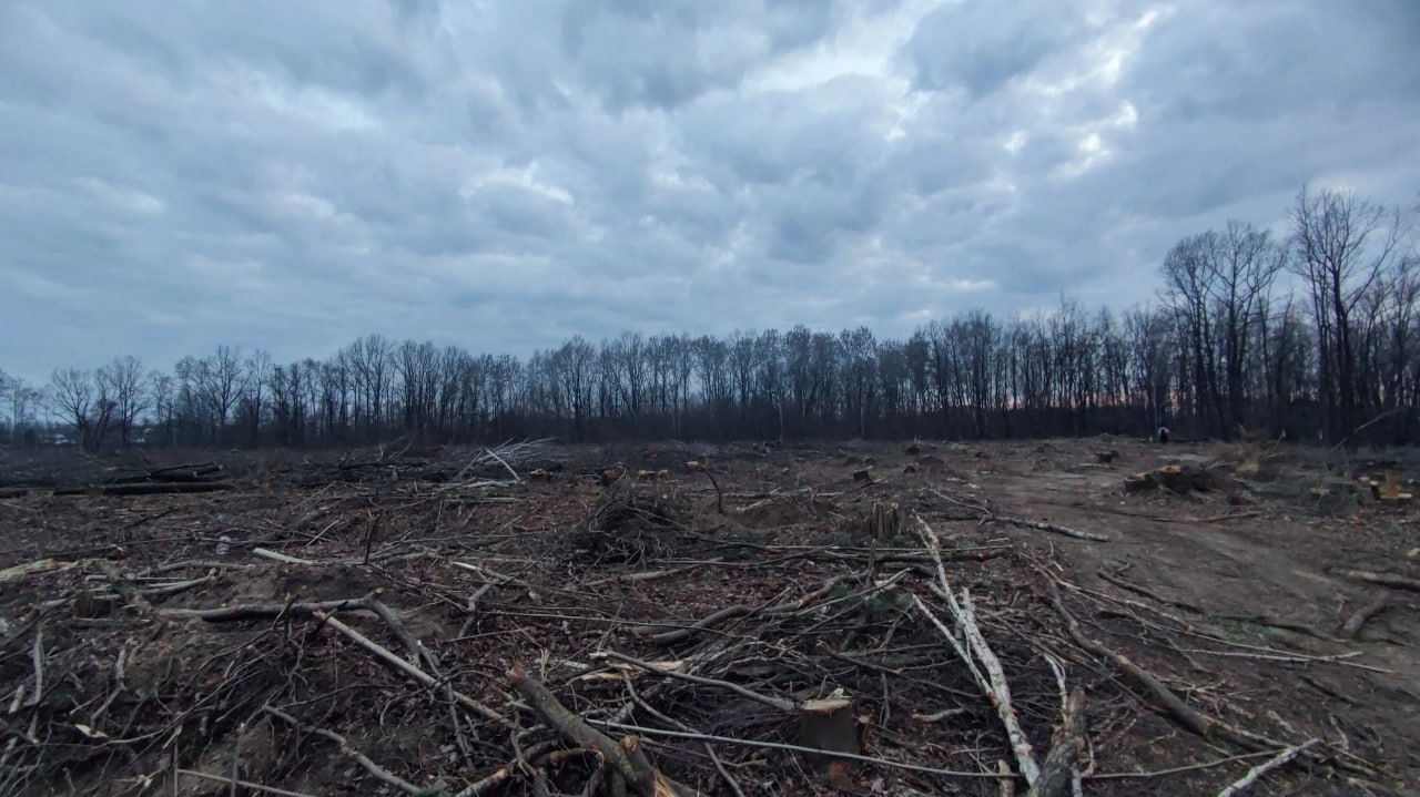 Ð£Ð½Ð¸ÑÑÐ¾Ð¶ÐµÐ½Ð½ÑÐ¹ ÑÑÐ°ÑÑÐ¾Ðº Ð»ÐµÑÐ° Ð² ÐÑÐµÑÑÐµ.