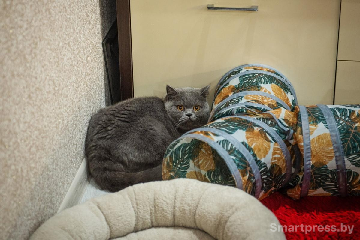 ÐÐ°ÐºÑ. Ð¤Ð¾ÑÐ¾ - Smartpress