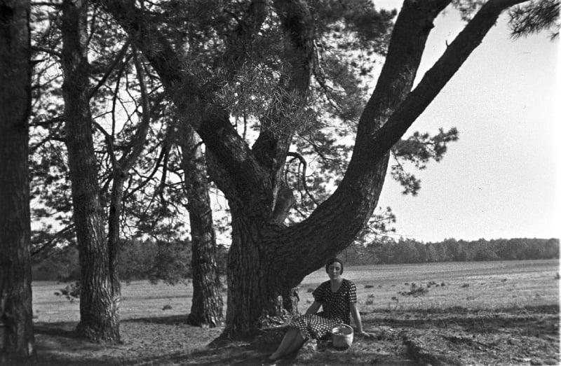 1930-Ñ Ð³Ð³. ÐÐ°Ð»ÐµÑÑÐµ. ÐÐµÐ²ÑÐ´Ð¾Ð¼Ð°Ñ Ð¶Ð°Ð½ÑÑÐ½Ð°. ÐÑÑÐ°Ñ ÑÐ¾ÑÐ° Ð¯ÐºÑÐ± Ð¥Ð°Ð¼ÑÑÐ¾ÑÑÐºÑ. ÐÑÑÑÑ ÐÐ¾Ñ'Ñ Ð¥Ð°Ð¼ÑÐ½ÑÐ¾ÑÑÐºÐ°Ð¹. Fundacja Archeologia Fotografii