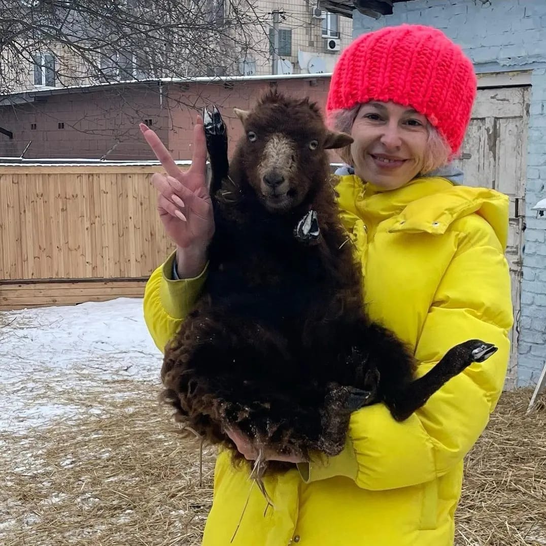 ÐÑÐ¸ÑÑÑ "ÐÑÑÐ¸ÑÑÑÐ¹ ÐºÐ»ÑÐ²" UAnimals Ð¿Ð¾Ð¼Ð¾Ð³Ð°ÑÑ ÐºÐ¾ÑÐ¼Ð°Ð¼Ð¸