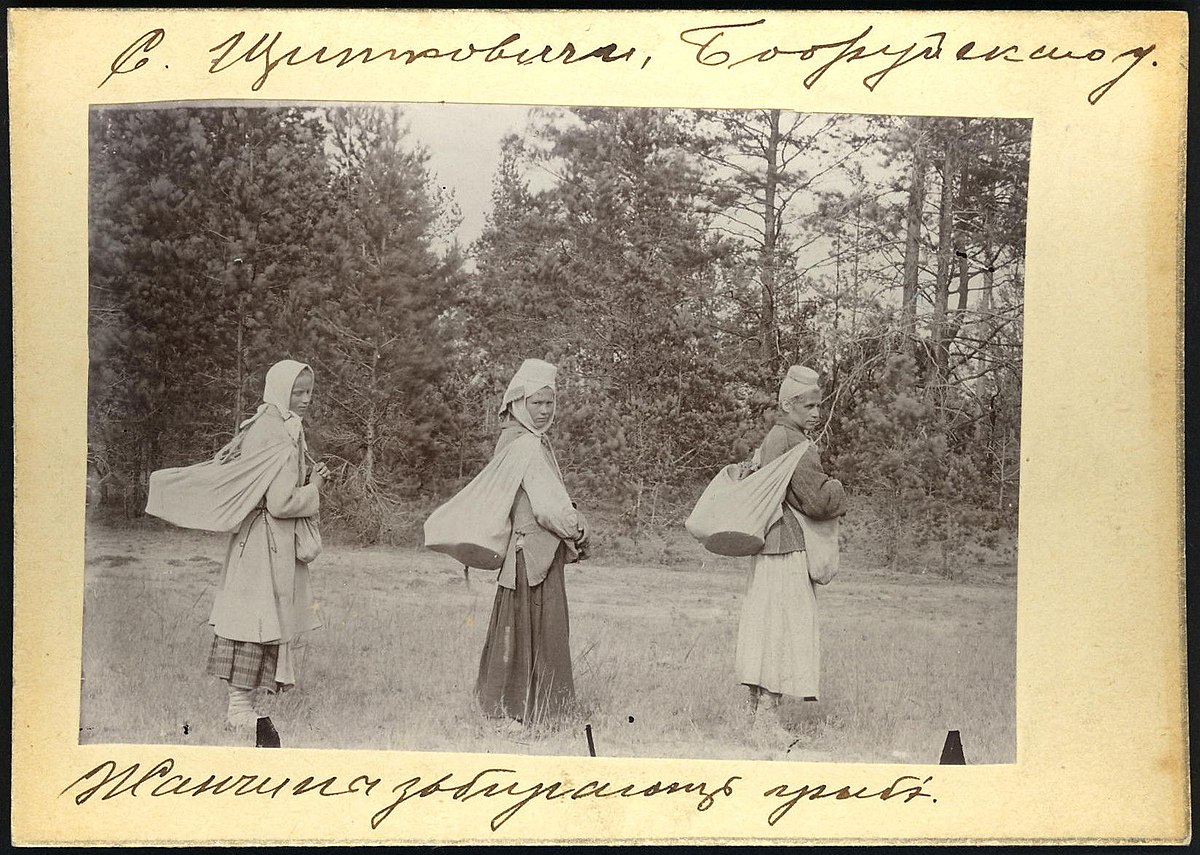  ÐÐµÐ½ÑÐ¸Ð½Ñ ÑÐ¾Ð±Ð¸ÑÐ°ÑÑ Ð³ÑÐ¸Ð±Ñ Ð² Ð´ÐµÑÐµÐ²Ð½Ðµ Ð©Ð¸ÑÐ°ÐºÐ¾Ð²Ð¸ÑÐ¸ (Ð¡ÑÐ°ÑÐ¾Ð´Ð¾ÑÐ¾Ð¶ÑÐºÐ¸Ð¹ ÑÐ°Ð¹Ð¾Ð½, Ð±ÑÐ²ÑÐ¸Ð¹ ÐÐ¾Ð±ÑÑÐ¹ÑÐºÐ¸Ð¹ ÑÐµÐ·Ð´). ÐÐ· ÐºÐ¾Ð»Ð»ÐµÐºÑÐ¸Ð¸ ÐÑÐ°Ð°ÐºÐ° Ð¡ÐµÑÐ±Ð¾Ð²Ð°, 1911-1912 (ÐÐ¸Ð»ÑÐ½ÑÑ, ÐÐ¸ÑÐ²Ð°). Ð¤Ð¾ÑÐ¾ â ÐÐ¸ÐºÐ¸Ð¿ÐµÐ´Ð¸Ñ