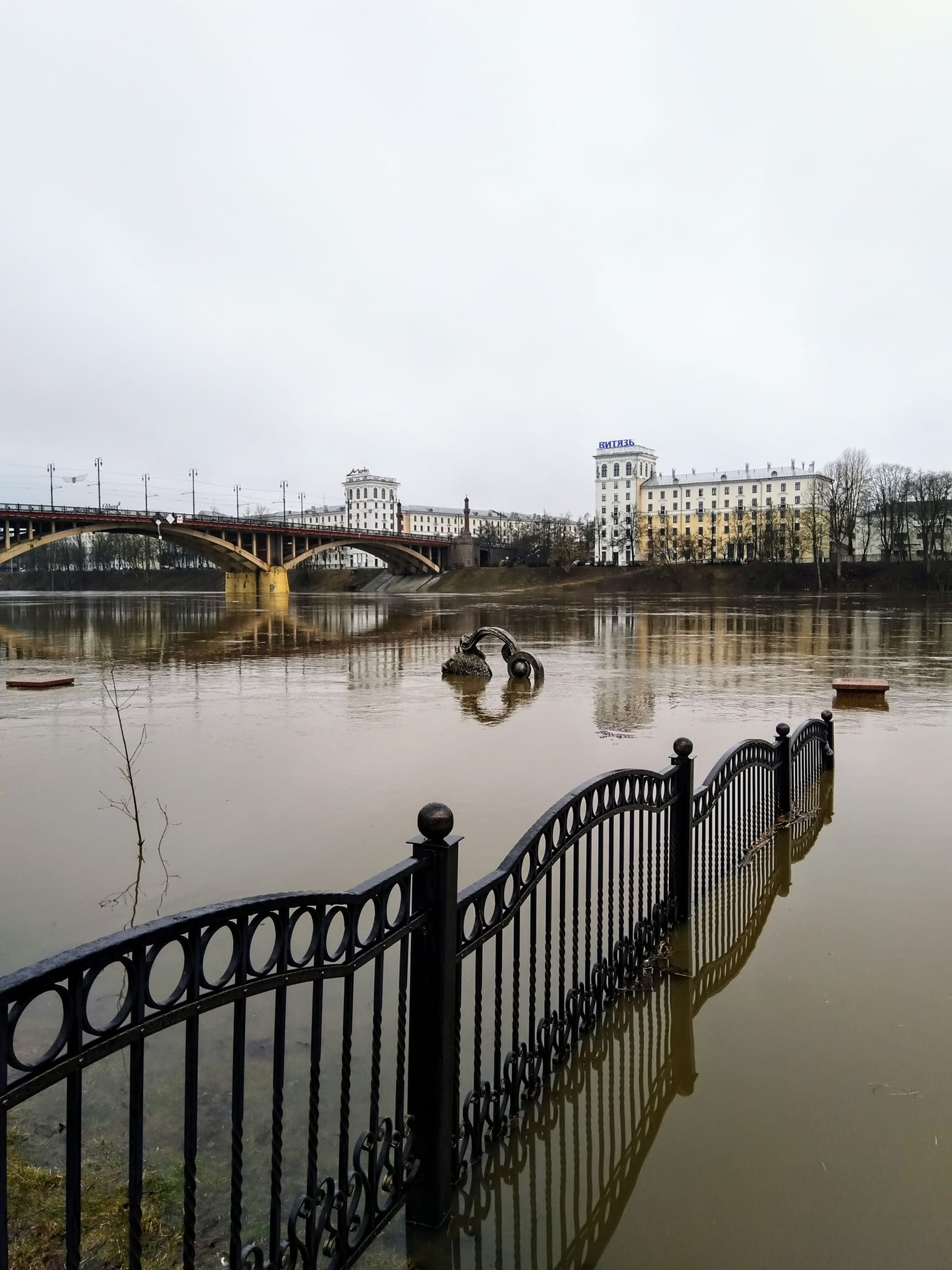 ÐÐ¾Ð»Ð¾ÑÐ°Ñ ÑÑÐ±ÐºÐ°