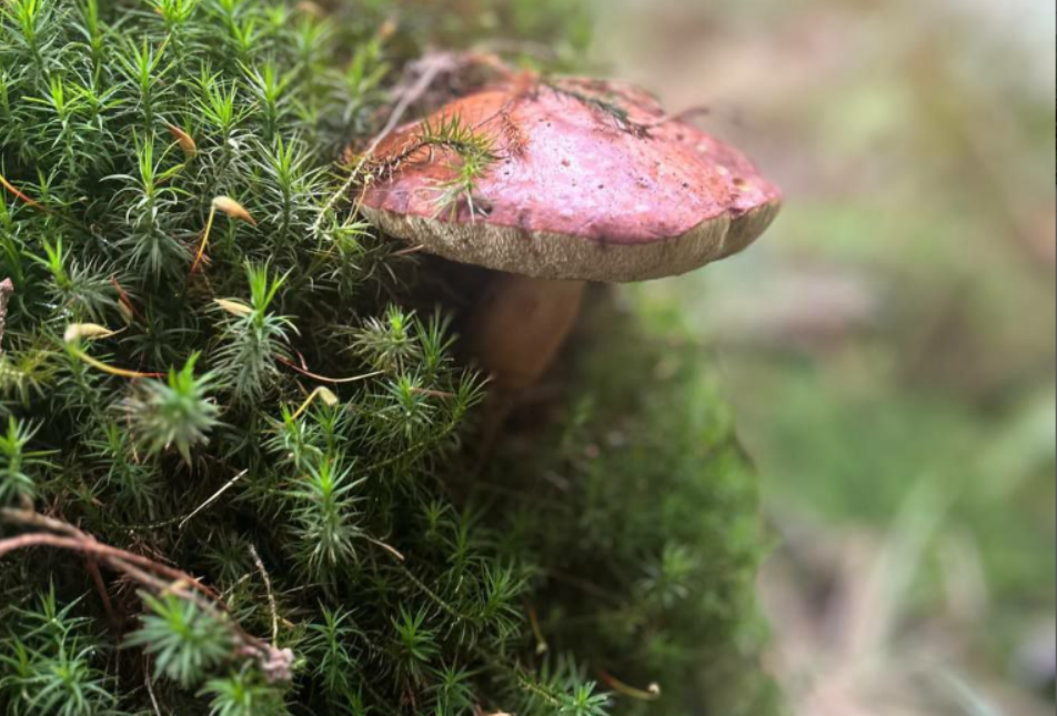 ÐÐ»Ð»ÑÑÑÑÐ°ÑÐ¸Ð²Ð½Ð¾Ðµ Ð¸Ð·Ð¾Ð±ÑÐ°Ð¶ÐµÐ½Ð¸Ðµ